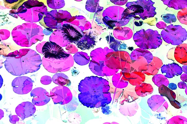 Nilüfer yaprakları ve nilüfer yapraklarıyla sunulan zarif desenli tasarım.