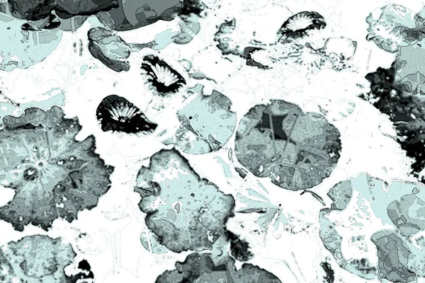 Nilüfer yaprakları ve nilüfer yapraklarıyla sunulan zarif desenli tasarım.