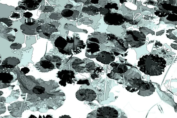 Nilüfer yaprakları ve nilüfer yapraklarıyla sunulan zarif desenli tasarım.