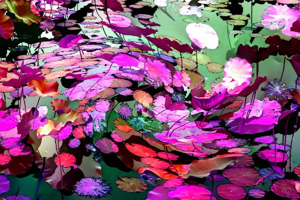 Nilüfer yaprakları ve nilüfer yapraklarıyla sunulan zarif desenli tasarım.