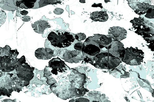 Nilüfer yaprakları ve nilüfer yapraklarıyla sunulan zarif desenli tasarım.