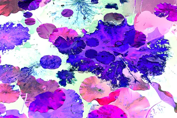 Nilüfer yaprakları ve nilüfer yapraklarıyla sunulan zarif desenli tasarım.