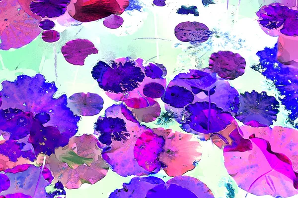 Nilüfer yaprakları ve nilüfer yapraklarıyla sunulan zarif desenli tasarım.