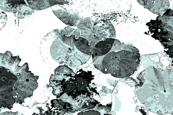 Nilüfer yaprakları ve nilüfer yapraklarıyla sunulan zarif desenli tasarım.