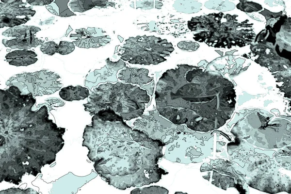 Nilüfer yaprakları ve nilüfer yapraklarıyla sunulan zarif desenli tasarım.