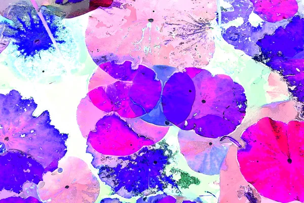 Nilüfer yaprakları ve nilüfer yapraklarıyla sunulan zarif desenli tasarım.