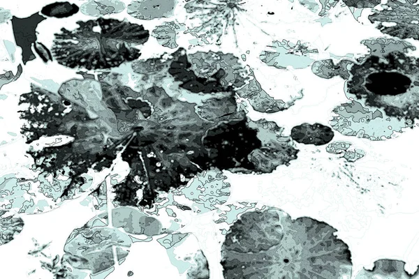 Nilüfer yaprakları ve nilüfer yapraklarıyla sunulan zarif desenli tasarım.