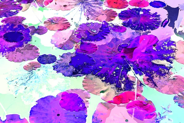 Nilüfer yaprakları ve nilüfer yapraklarıyla sunulan zarif desenli tasarım.