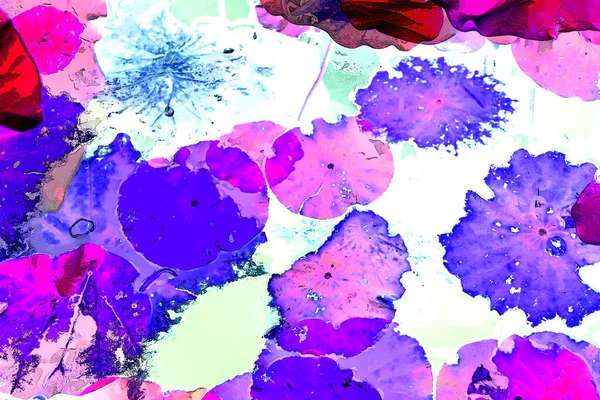 Nilüfer yaprakları ve nilüfer yapraklarıyla sunulan zarif desenli tasarım.