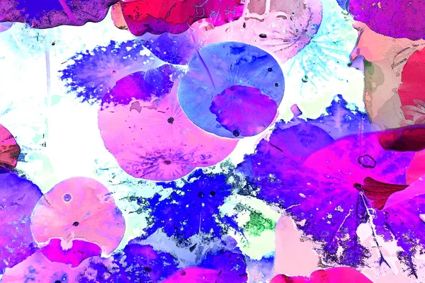 Nilüfer yaprakları ve nilüfer yapraklarıyla sunulan zarif desenli tasarım.