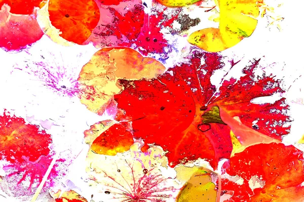 Nilüfer yaprakları ve nilüfer yapraklarıyla sunulan zarif desenli tasarım.