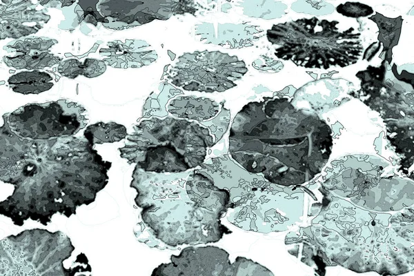 Nilüfer yaprakları ve nilüfer yapraklarıyla sunulan zarif desenli tasarım.