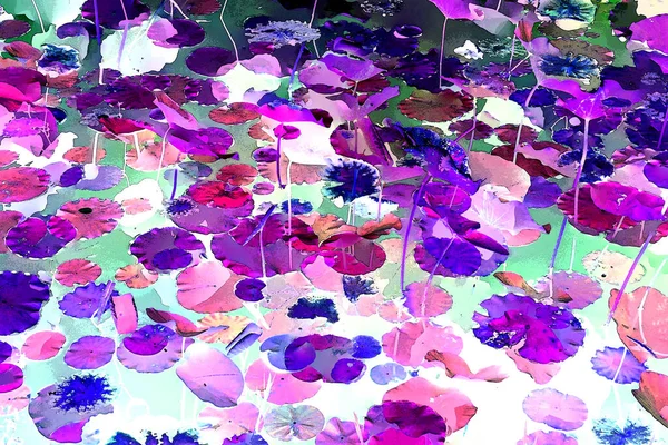 Nilüfer yaprakları ve nilüfer yapraklarıyla sunulan zarif desenli tasarım.