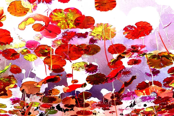 Nilüfer yaprakları ve nilüfer yapraklarıyla sunulan zarif desenli tasarım.