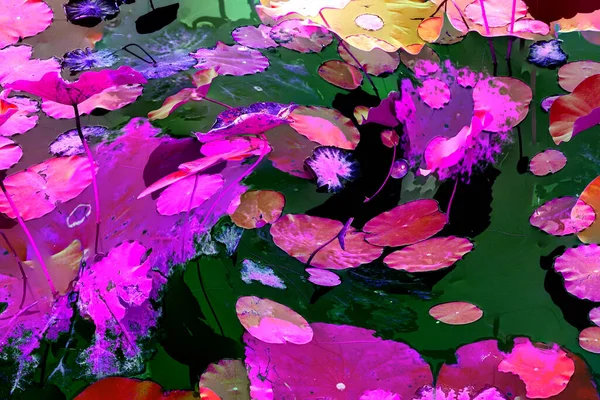 Nilüfer yaprakları ve nilüfer yapraklarıyla sunulan zarif desenli tasarım.