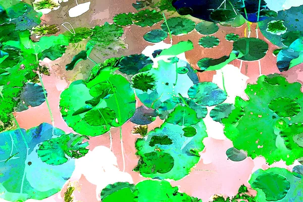 Nilüfer yaprakları ve nilüfer yapraklarıyla sunulan zarif desenli tasarım.