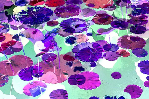 Nilüfer yaprakları ve nilüfer yapraklarıyla sunulan zarif desenli tasarım.