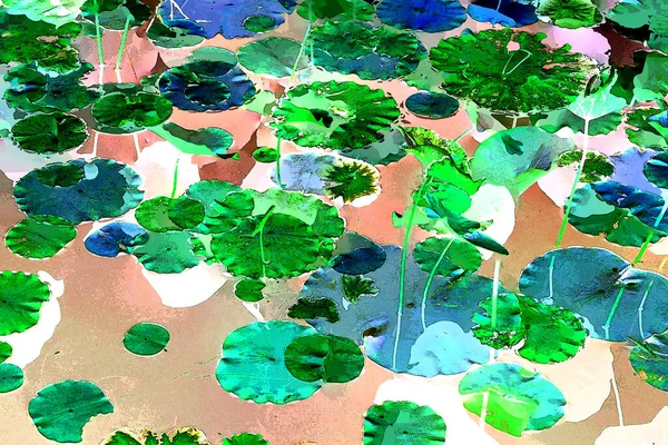 Nilüfer yaprakları ve nilüfer yapraklarıyla sunulan zarif desenli tasarım.