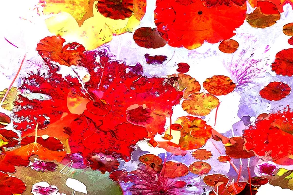 Nilüfer yaprakları ve nilüfer yapraklarıyla sunulan zarif desenli tasarım.