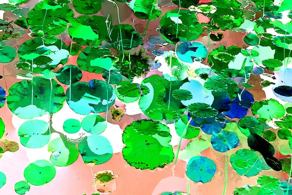 Nilüfer yaprakları ve nilüfer yapraklarıyla sunulan zarif desenli tasarım.