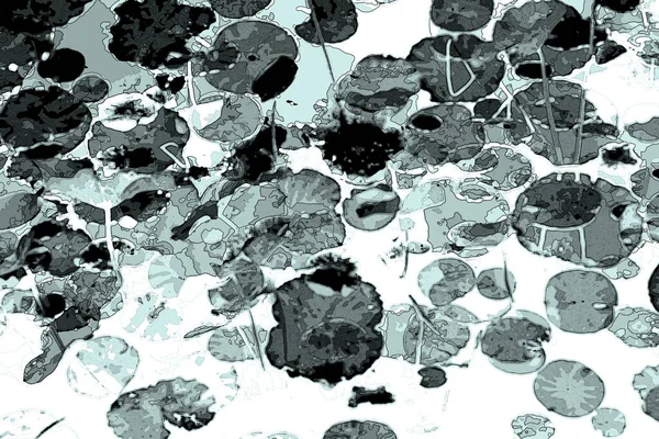 Nilüfer yaprakları ve nilüfer yapraklarıyla sunulan zarif desenli tasarım.