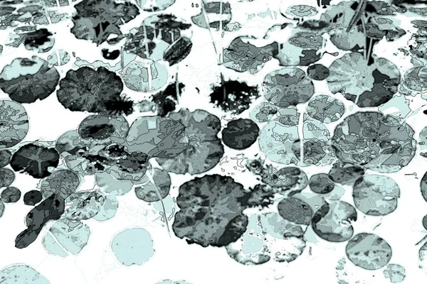 Nilüfer yaprakları ve nilüfer yapraklarıyla sunulan zarif desenli tasarım.