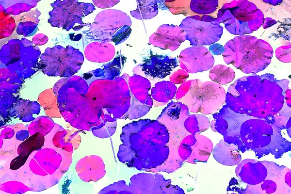 Nilüfer yaprakları ve nilüfer yapraklarıyla sunulan zarif desenli tasarım.