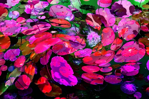 Nilüfer yaprakları ve nilüfer yapraklarıyla sunulan zarif desenli tasarım.