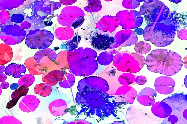 Nilüfer yaprakları ve nilüfer yapraklarıyla sunulan zarif desenli tasarım.