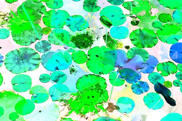 Nilüfer yaprakları ve nilüfer yapraklarıyla sunulan zarif desenli tasarım.