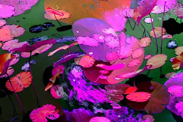 Nilüfer yaprakları ve nilüfer yapraklarıyla sunulan zarif desenli tasarım.