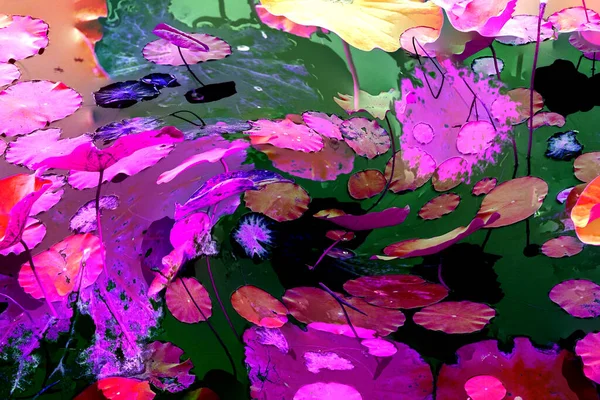 Nilüfer yaprakları ve nilüfer yapraklarıyla sunulan zarif desenli tasarım.