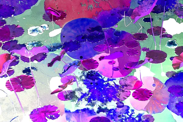 Nilüfer yaprakları ve nilüfer yapraklarıyla sunulan zarif desenli tasarım.