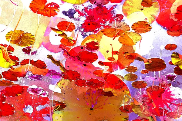 Nilüfer yaprakları ve nilüfer yapraklarıyla sunulan zarif desenli tasarım.