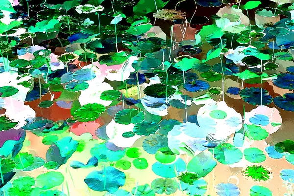 Nilüfer yaprakları ve nilüfer yapraklarıyla sunulan zarif desenli tasarım.