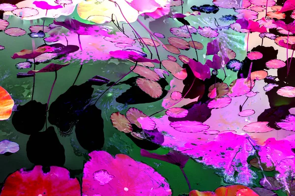 Nilüfer yaprakları ve nilüfer yapraklarıyla sunulan zarif desenli tasarım.