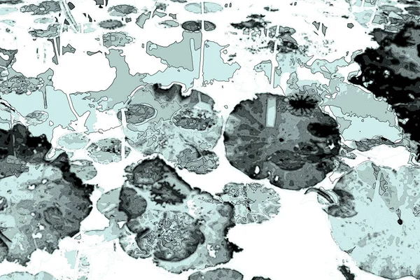 Nilüfer yaprakları ve nilüfer yapraklarıyla sunulan zarif desenli tasarım.