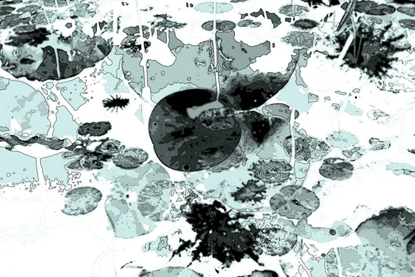 Nilüfer yaprakları ve nilüfer yapraklarıyla sunulan zarif desenli tasarım.