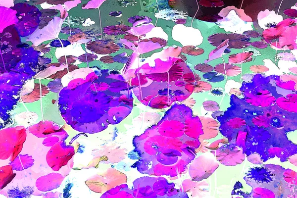 Nilüfer yaprakları ve nilüfer yapraklarıyla sunulan zarif desenli tasarım.