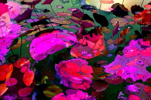 Nilüfer yaprakları ve nilüfer yapraklarıyla sunulan zarif desenli tasarım.