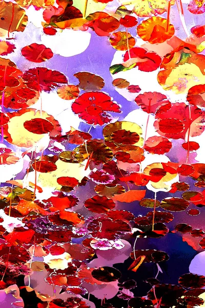 Nilüfer yaprakları ve nilüfer yapraklarıyla sunulan zarif desenli tasarım.