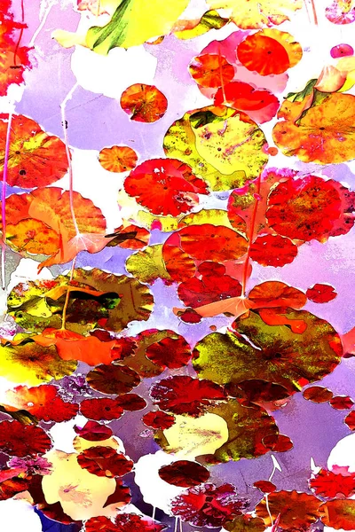 Nilüfer yaprakları ve nilüfer yapraklarıyla sunulan zarif desenli tasarım.