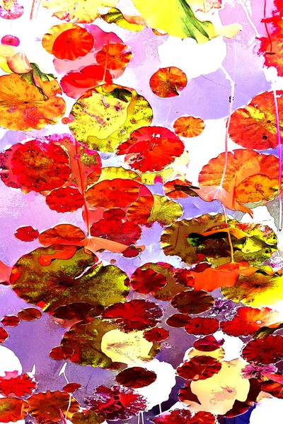 Nilüfer yaprakları ve nilüfer yapraklarıyla sunulan zarif desenli tasarım.