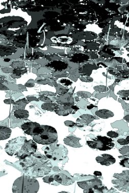 Nilüfer yaprakları ve nilüfer yapraklarıyla sunulan zarif desenli tasarım.