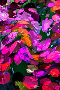 Nilüfer yaprakları ve nilüfer yapraklarıyla sunulan zarif desenli tasarım.