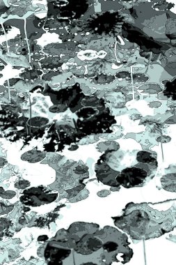 Nilüfer yaprakları ve nilüfer yapraklarıyla sunulan zarif desenli tasarım.