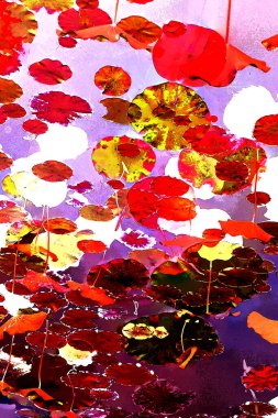 Nilüfer yaprakları ve nilüfer yapraklarıyla sunulan zarif desenli tasarım.