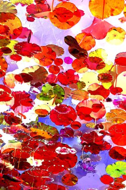 Nilüfer yaprakları ve nilüfer yapraklarıyla sunulan zarif desenli tasarım.