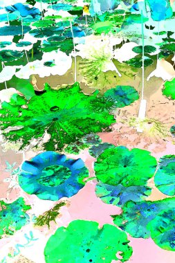 Nilüfer yaprakları ve nilüfer yapraklarıyla sunulan zarif desenli tasarım.