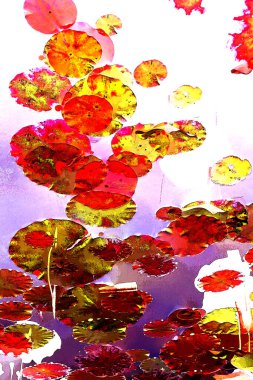 Nilüfer yaprakları ve nilüfer yapraklarıyla sunulan zarif desenli tasarım.